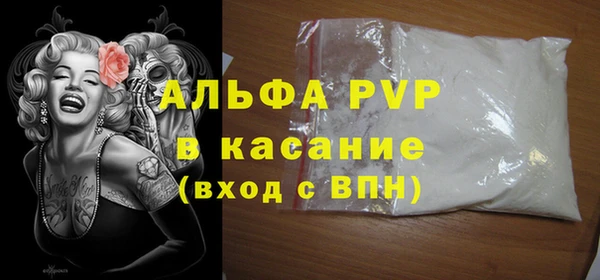 амф Бородино
