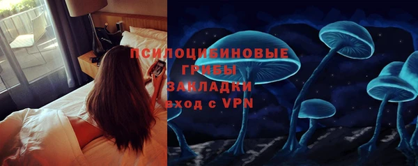 трава Верхнеуральск