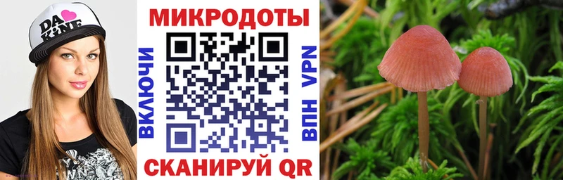 мега купить наркоту Мглин Псилоцибиновые грибы GOLDEN TEACHER